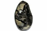 Free-Standing, Polished Septarian Geode - Black Crystals #348951-1